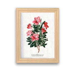 Affiche déco Azalée à planter | Papierfleur, le papier qui fleurit