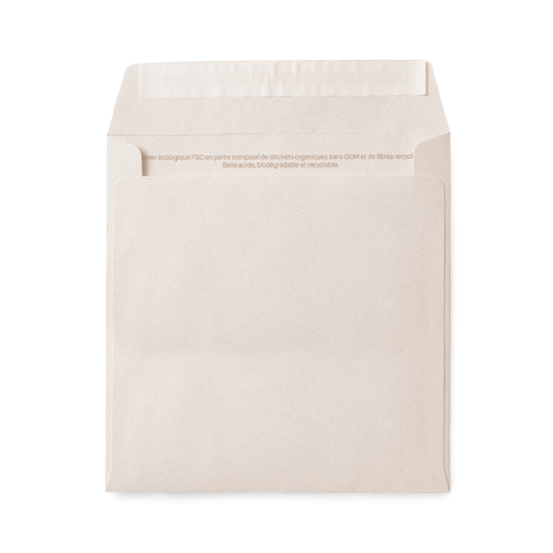 Enveloppe upcyclée vierge raisin | Papierfleur, le papier qui fleurit