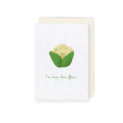 Carte à planter « T’es trop choux fleur »