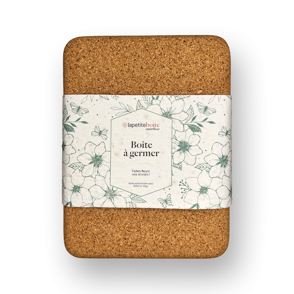 Boîte à germer - lapetiteboîte