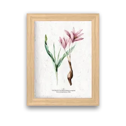 Affiche déco Colchique à planter | Papierfleur, le papier qui fleurit