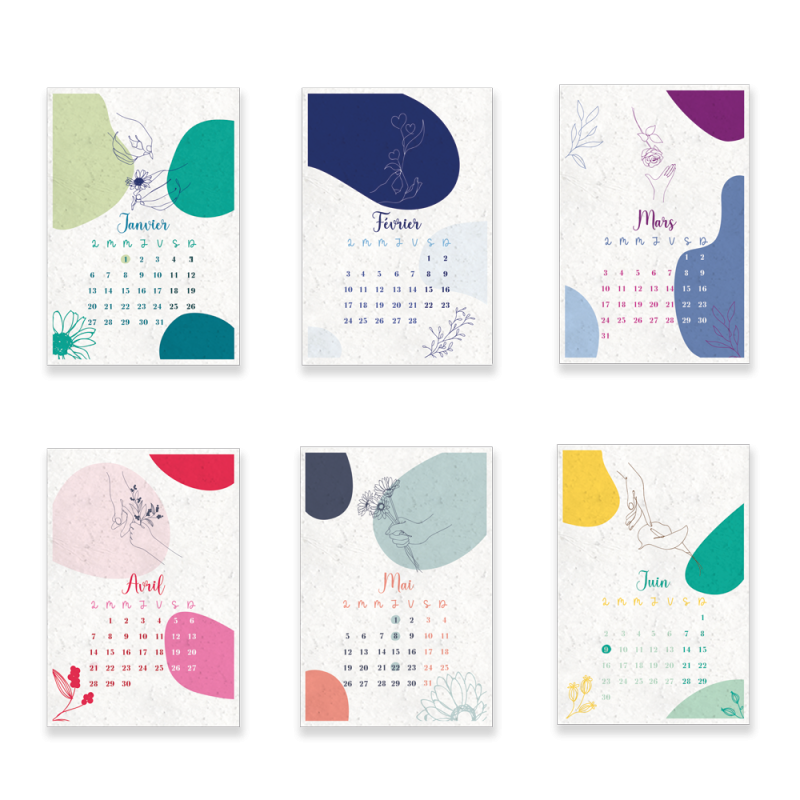 Calendrier à planter 2025 | Mains et fleurs