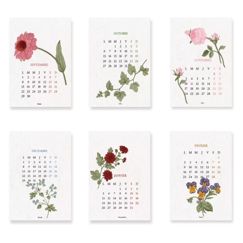 Calendrier à planter Biodiversité | Calendrier scolaire 2025-2026