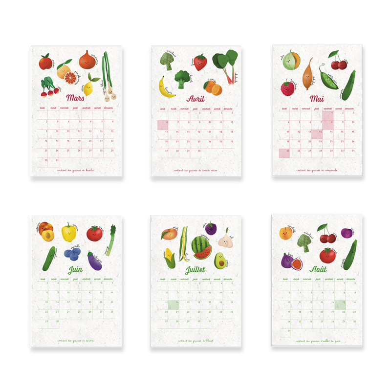 Calendrier à planter 2025-2026 - Fruits et légumes | Papier Fleur