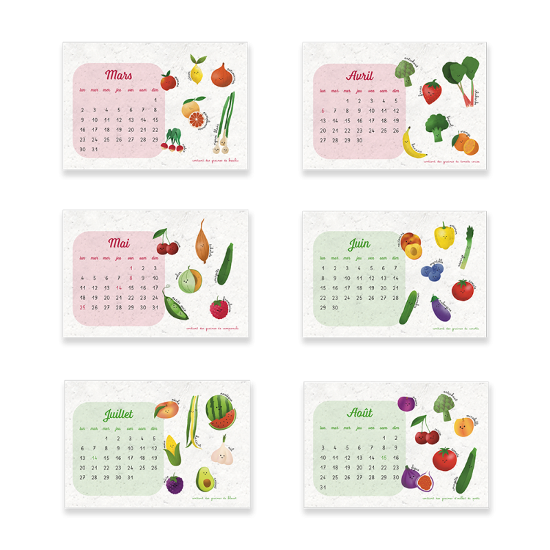 Calendrier à planter 2025-2026 - Fruits et légumes | Papier Fleur