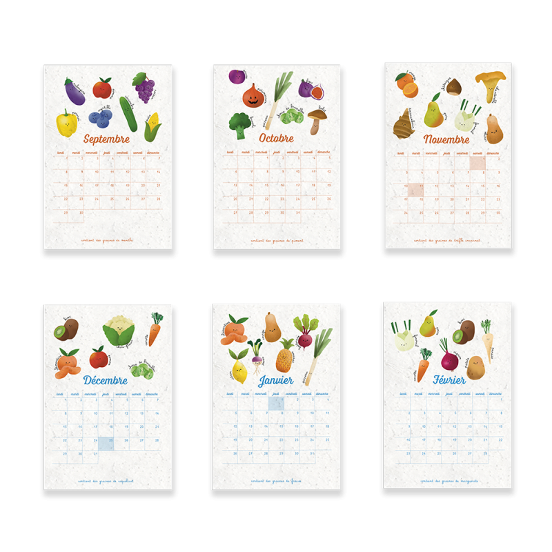 Calendrier à planter 2025-2026 - Fruits et légumes | Papier Fleur