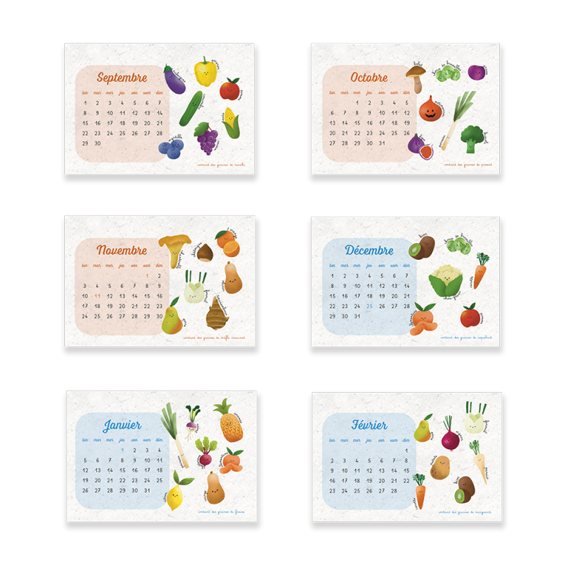 Calendrier à planter 2025-2026 - Fruits et légumes | Papier Fleur