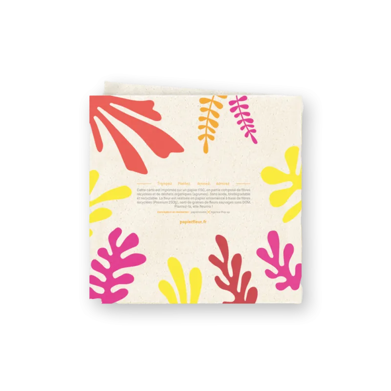 Carte Pop-up - Matisse | Papierfleur.fr, le papier qui fleurit