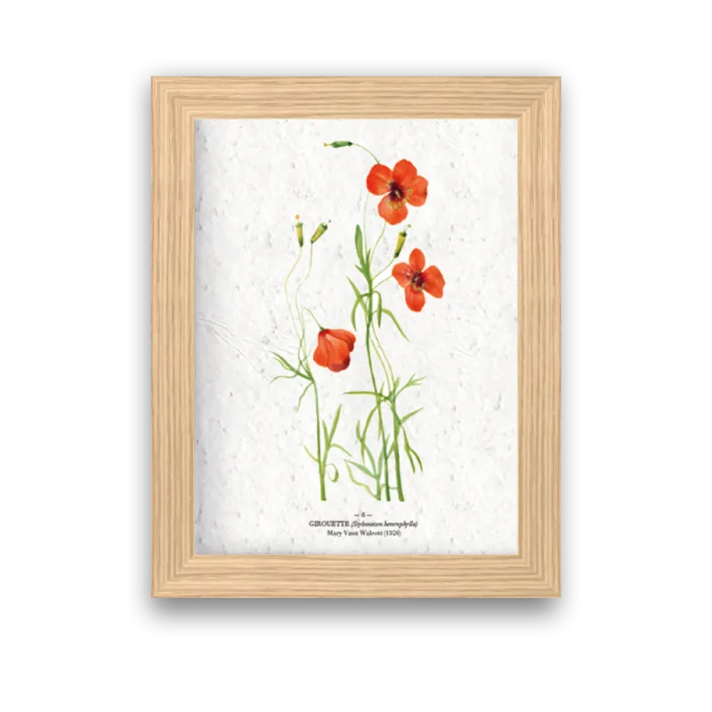 Affiche déco Girouette à planter | Papierfleur, le papier qui fleurit