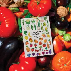 Calendrier à planter 2026 « Fruits et légumes »