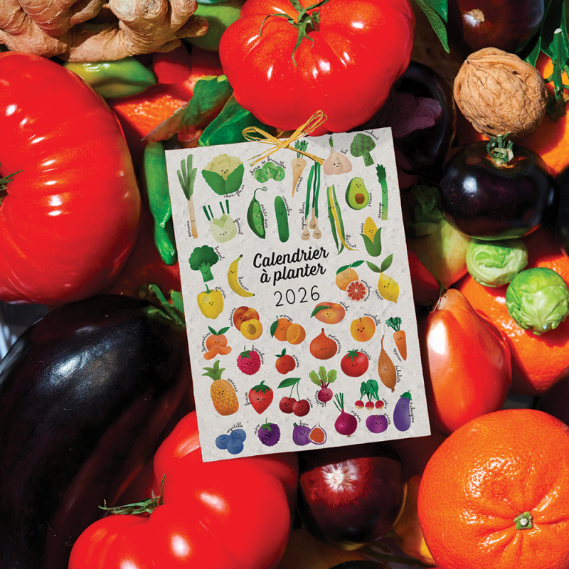 Calendrier à planter 2026 « Fruits et légumes » – 13 feuillets, 13 variétés de graines différentes.