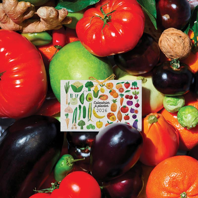 Calendrier à planter 2026 « Fruits et légumes » – 13 feuillets, 13 variétés de graines différentes.