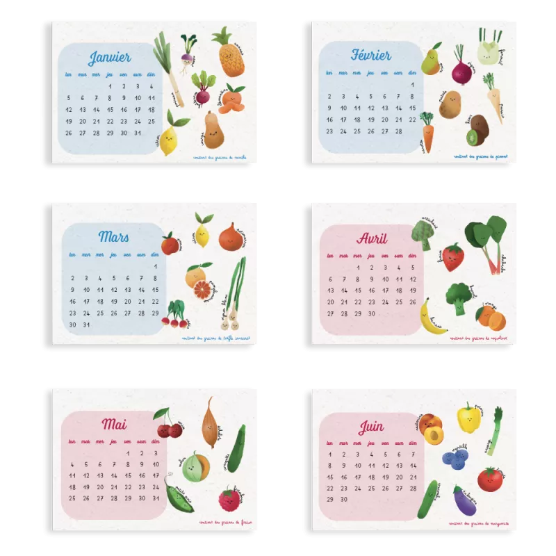 Calendrier à planter 2026 « Fruits et légumes » – 13 feuillets, 13 variétés de graines différentes.