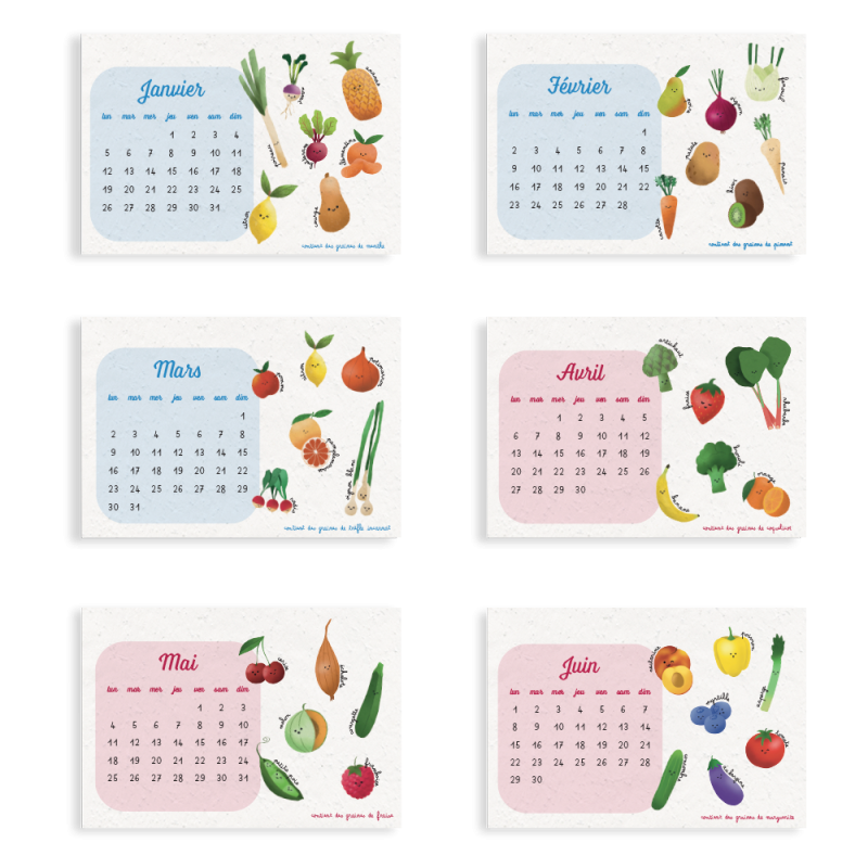 Calendrier à planter 2026 « Fruits et légumes » – 13 feuillets, 13 variétés de graines différentes.