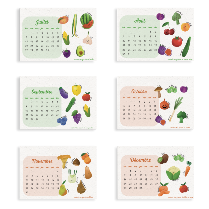 Calendrier à planter 2026 « Fruits et légumes » – 13 feuillets, 13 variétés de graines différentes.