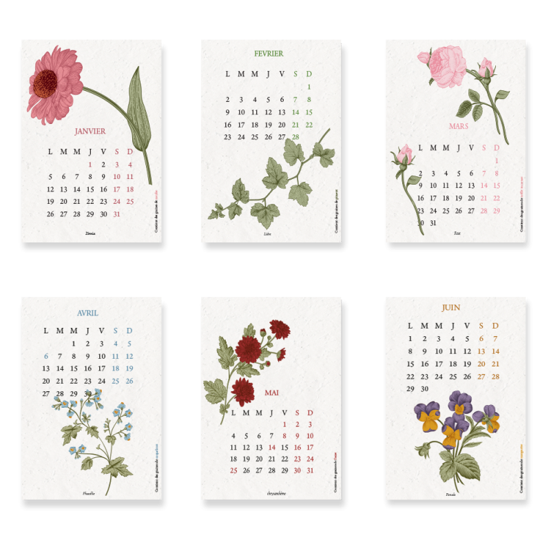 Calendrier à planter 2026 « Biodiversité » – 13 feuillets ensemencés, 13 graines différentes à semer.