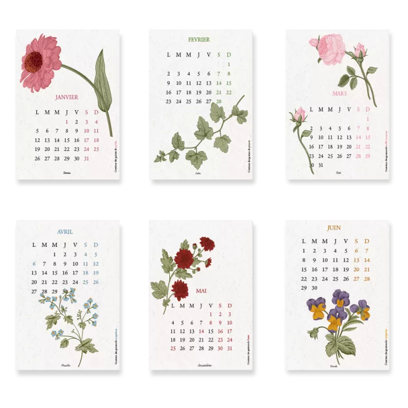 Calendrier à planter 2026 « Biodiversité » – 13 feuillets ensemencés, 13 graines différentes à semer.