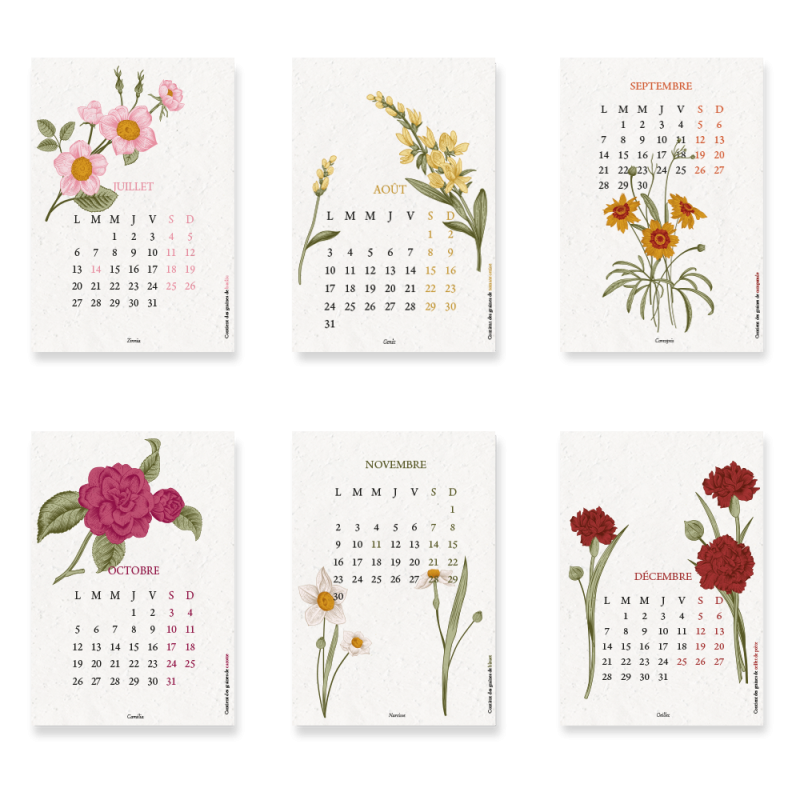Calendrier à planter 2026 « Biodiversité » – 13 feuillets ensemencés, 13 graines différentes à semer.