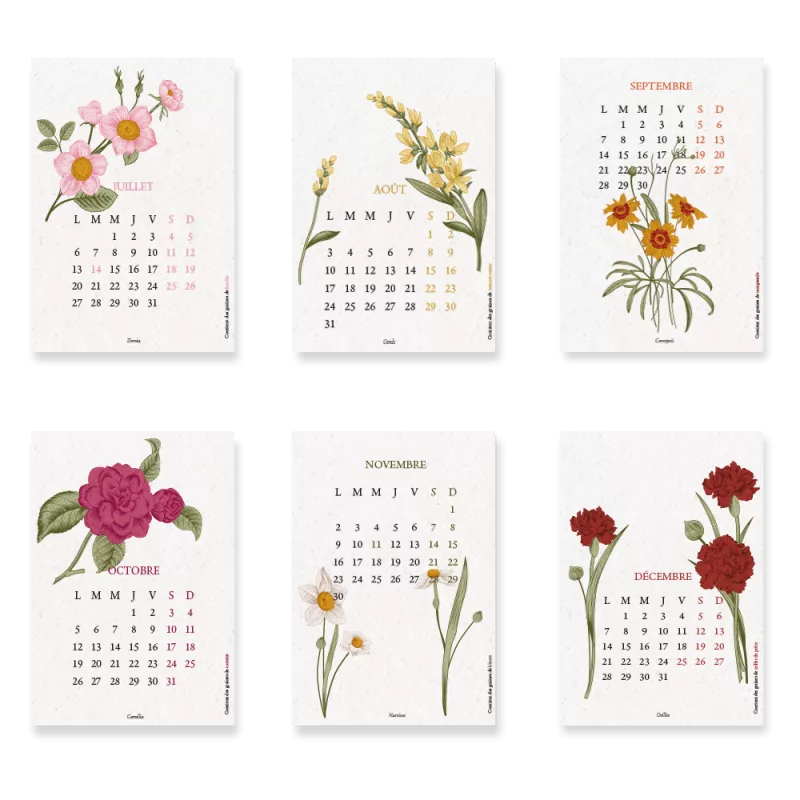 Calendrier à planter 2026 « Biodiversité » – 13 feuillets ensemencés, 13 graines différentes à semer.