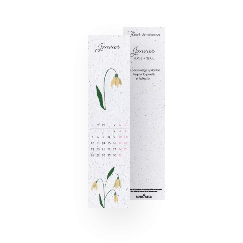 Calendrier à planter 2026 – 12 marque-pages « Fleurs de naissance », en papier ensemencé.