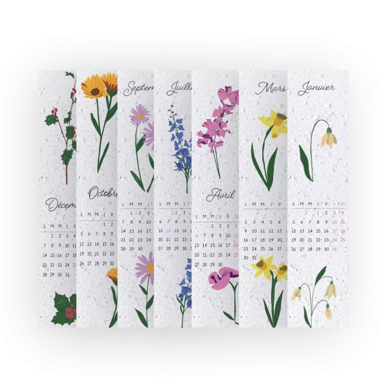 Calendrier à planter 2026 – 12 marque-pages « Fleurs de naissance », en papier ensemencé.