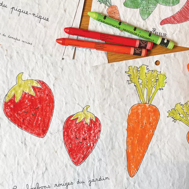 Cahier de coloriage à planter « Fruits & Légumes »