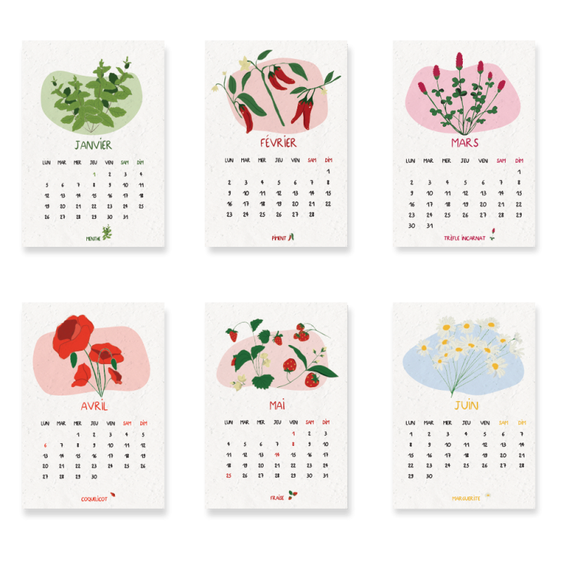 Calendrier à planter 2026  « Jardin du temps » – 13 feuillets, 13 variétés de graines différentes.