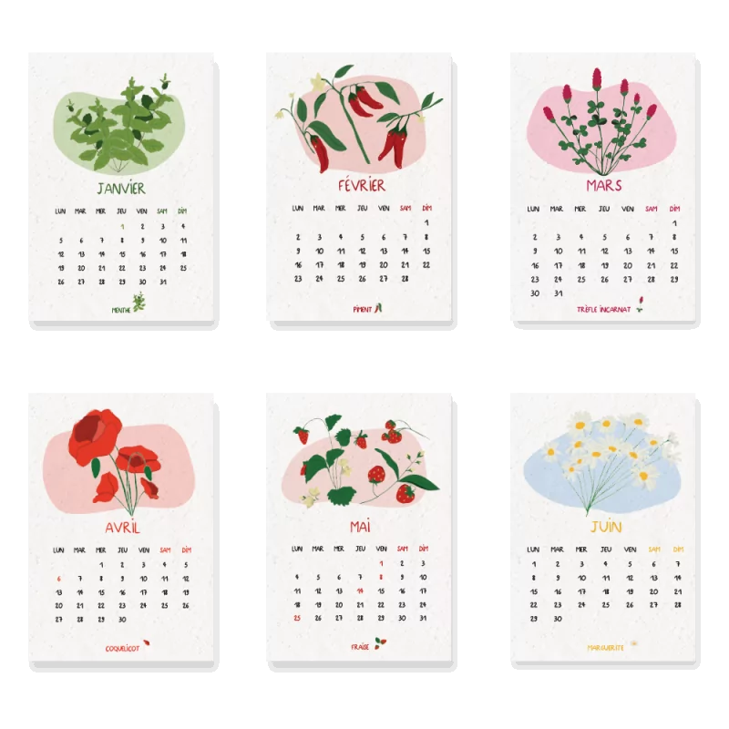 Calendrier à planter 2026  « Jardin du temps » – 13 feuillets, 13 variétés de graines différentes.