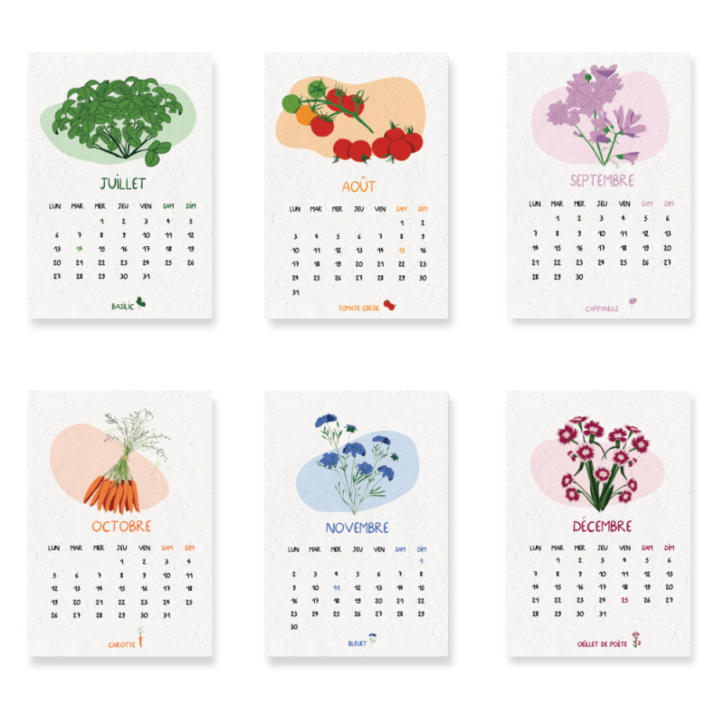 Calendrier à planter 2026  « Jardin du temps » – 13 feuillets, 13 variétés de graines différentes.