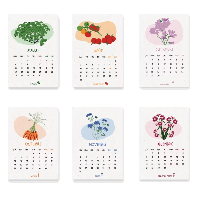 Calendrier à planter 2026  « Jardin du temps » – 13 feuillets, 13 variétés de graines différentes.