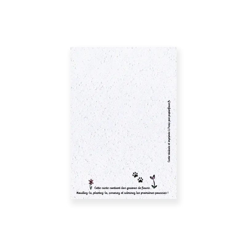 Carte à planter chat - Bisous. | Papierfleur.fr, le papier qui fleurit