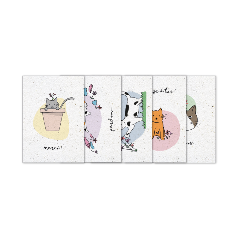 Lot de Cartes à planter - Chats ! | Papierfleur.fr, le papier qui fleurit