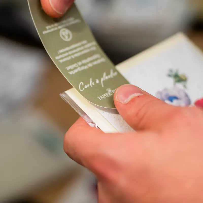 Florettis fleurs multicolores | Papierfleur.fr, le papier qui fleurit