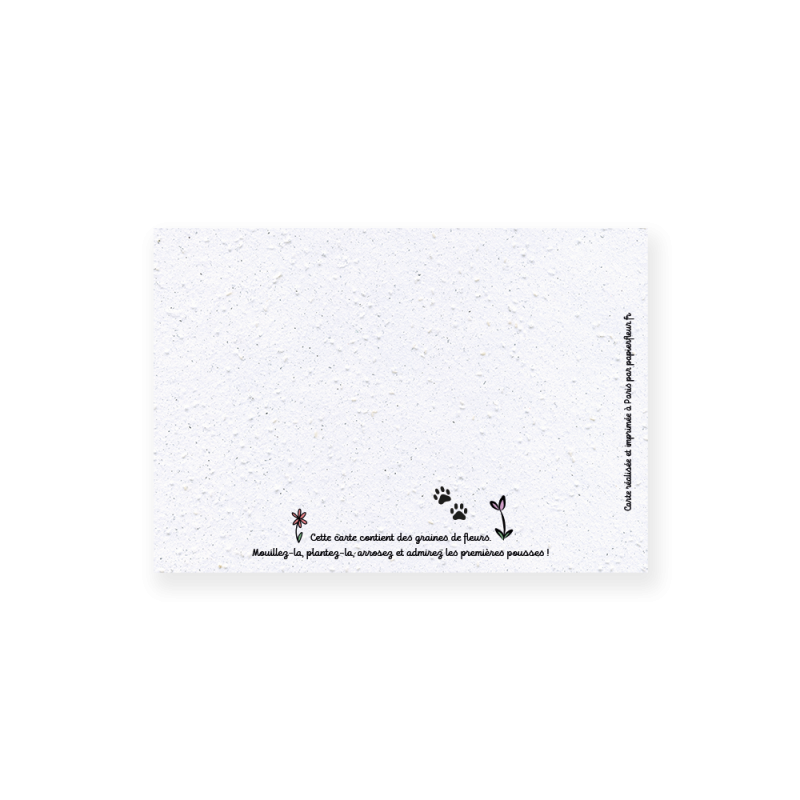 Carte à planter chat - Félicitations ! | Papierfleur.fr, le papier qui fleurit
