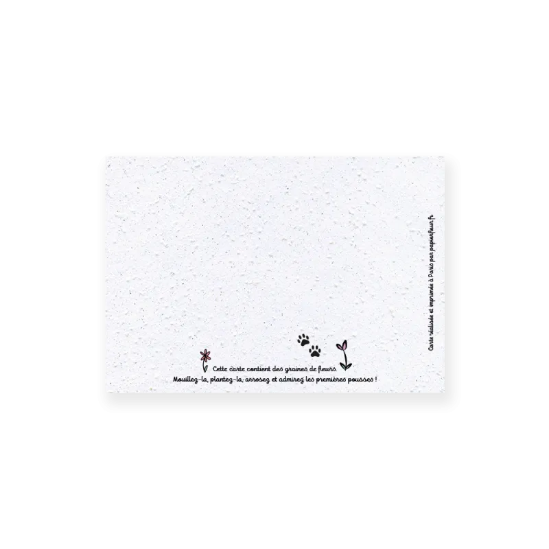 Carte à planter chat - Félicitations ! | Papierfleur.fr, le papier qui fleurit