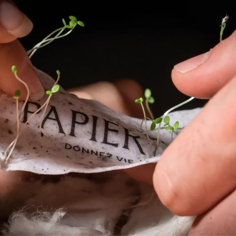 Carte à planter, Douce pensée “Bonne année” jaune, c’est bien plus qu’une carte