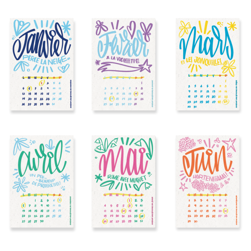 Calendrier à planter 2026, « L’art et la couleur » signé Alice Cateland