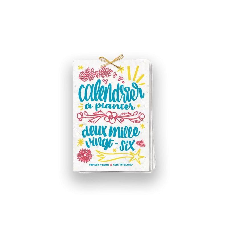 Calendrier à planter 2026, « L’art et la couleur » 13 graines