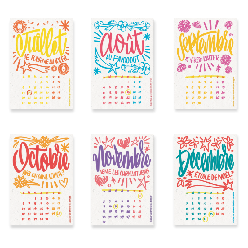 Calendrier à planter 2026, « L’art et la couleur » 13 graines