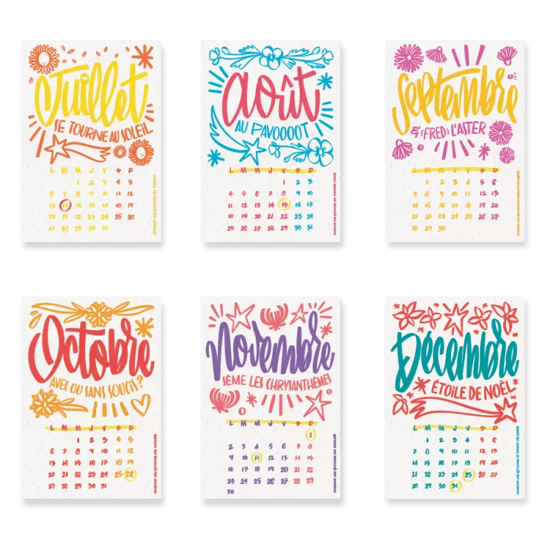 Calendrier à planter 2026, « L’art et la couleur » 13 graines