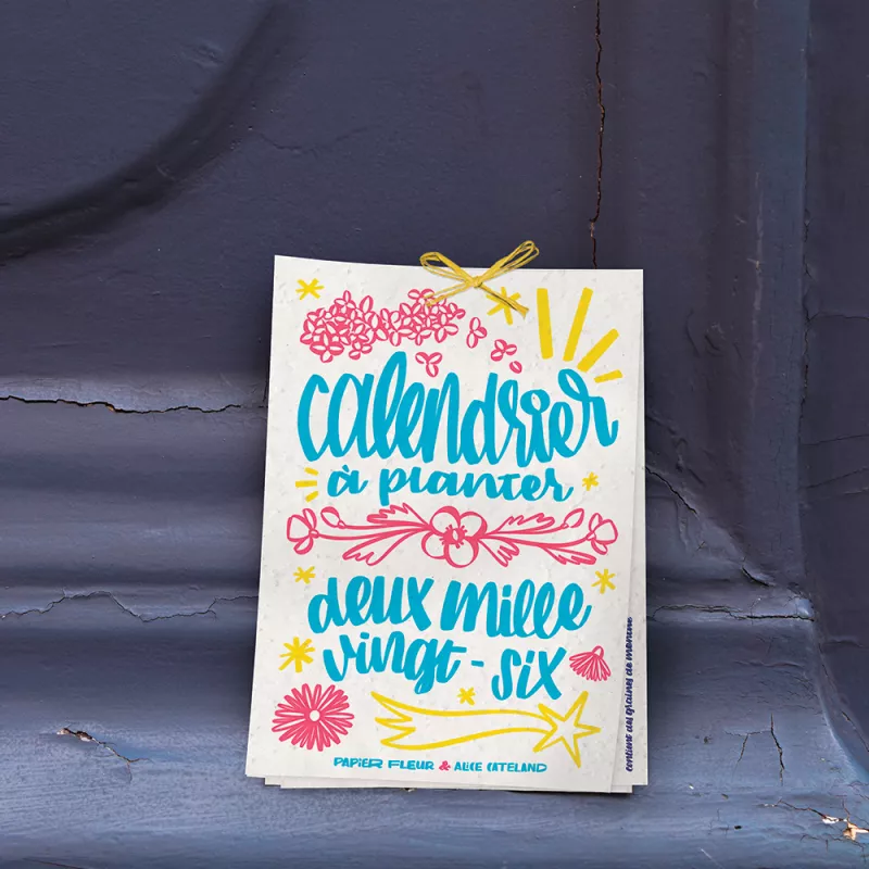 Calendrier à planter 2026, « L’art et la couleur » 13 graines