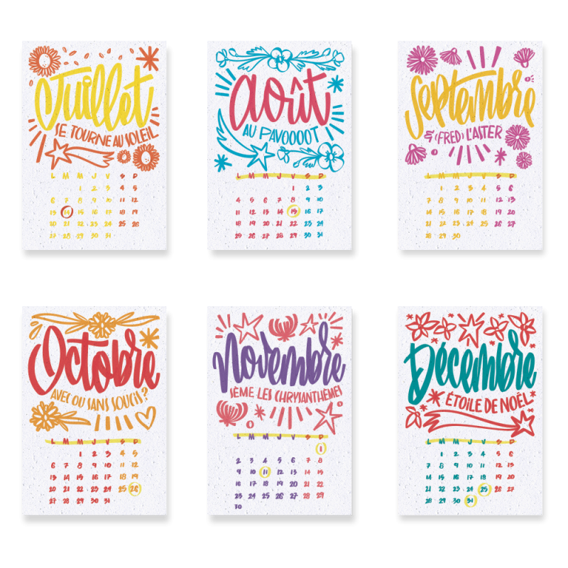 Calendrier à planter 2026, « L’art et la couleur » Signé Alice Cateland — Édition Premium