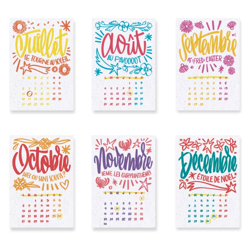 Calendrier à planter 2026, « L’art et la couleur » Signé Alice Cateland — Édition Premium