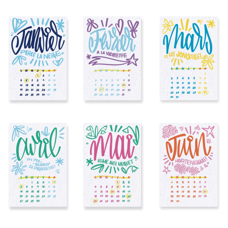 Calendrier à planter 2026, « L’art et la couleur » Signé Alice Cateland — Édition Premium