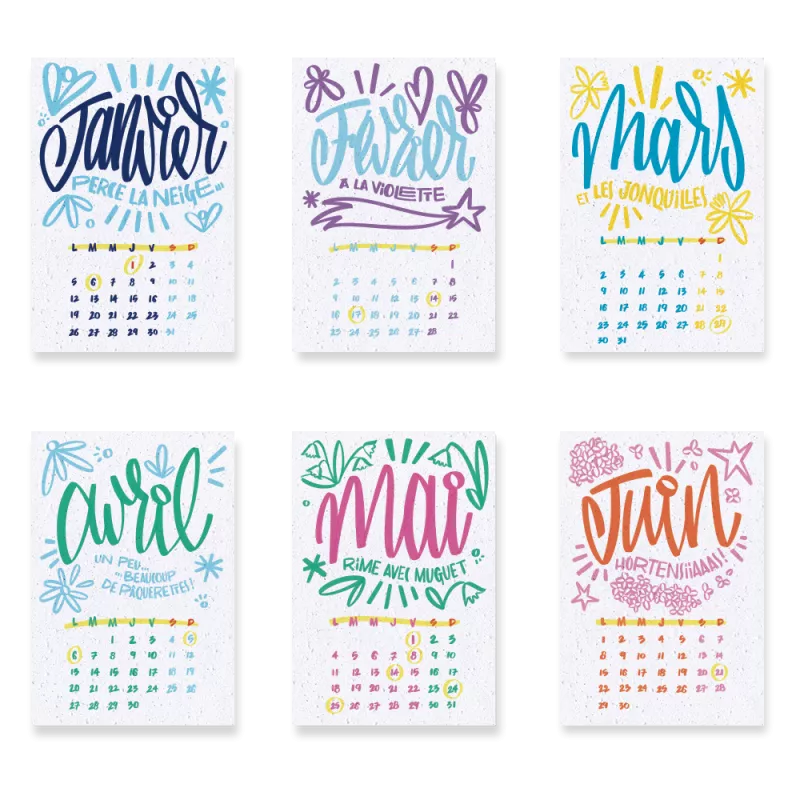 Calendrier à planter 2026, « L’art et la couleur » Signé Alice Cateland — Édition Premium