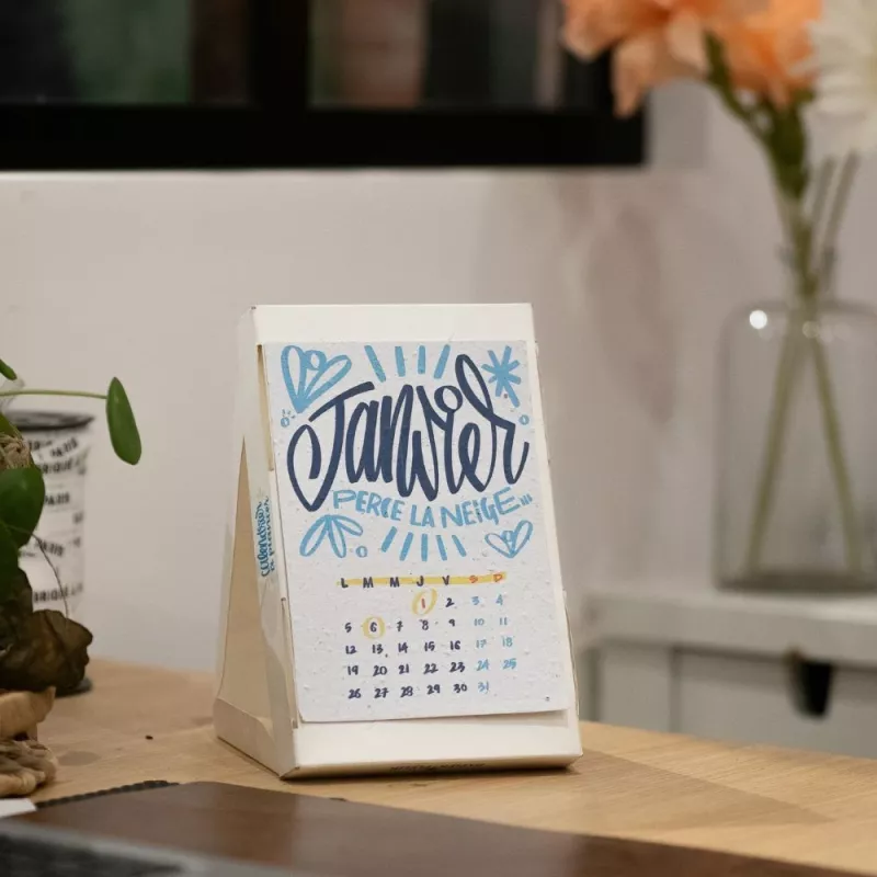 Calendrier à planter 2026, « L’art et la couleur » Signé Alice Cateland — Édition Premium