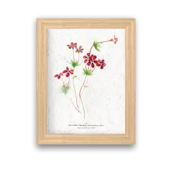 Affiche déco Linathus à planter | Papierfleur, le papier qui fleurit