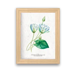Affiche déco Lotus bleu à planter | Papierfleur, le papier qui fleurit