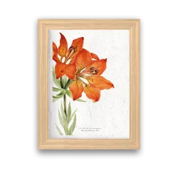 Affiche déco Lys rouge à planter | Papierfleur, le papier qui fleurit