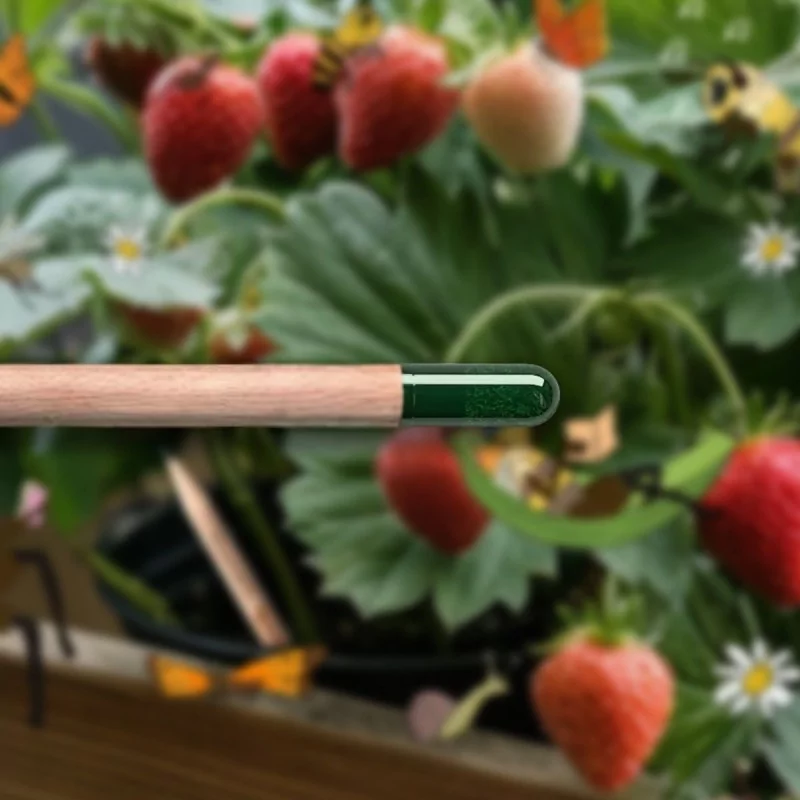 crayon-a-planter-fraise